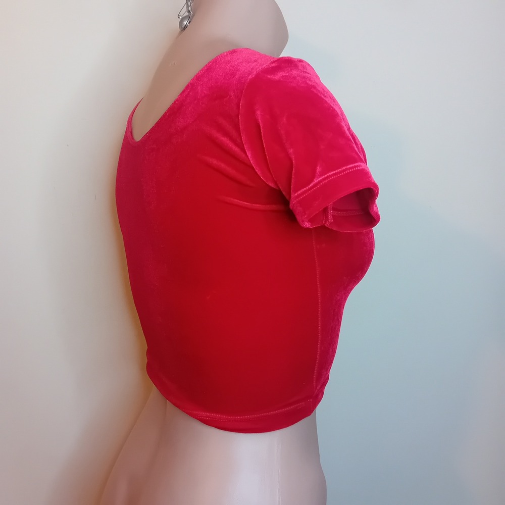 NWT Y2K American Apparel Velvet Crop Top Short Sleeve Tee Shirt Bloody Red‎ XS - Picture 4 of 16